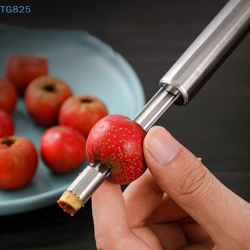 【NH】Stainless Steel Fruit Core - Tech Accessories And Gadgets reseña y precio